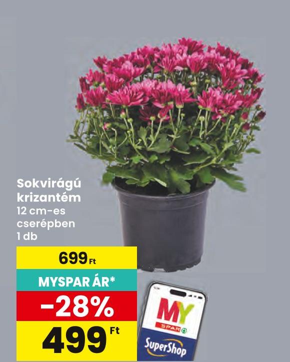 Spar